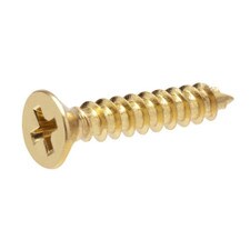 Briggs-Sayco Flat-Head Screw